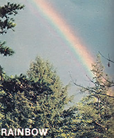The colors that dominate a rainbow provide weather clues. Blue indicates the air is clearing, while green or red signal more precipitation.